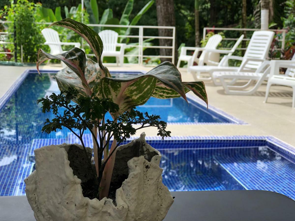 Hotel Boutique Ballena Dorada Uvita Extérieur photo
